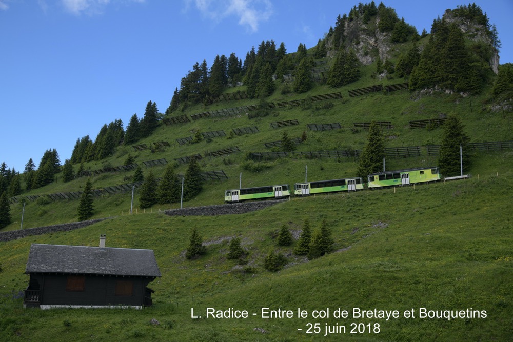 17 - CF Bex -Villars - Bretaye (BVB) - Vers Bouquetins.jpg